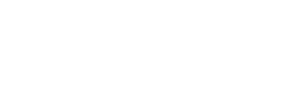 Salt Sand Soil
